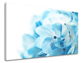 Wall painting FLOWERS Discount 60 % 60X90 cm